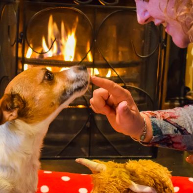 Gables Cottage at Polbain on the Coigach Peninsula offers pet friendly accommodation