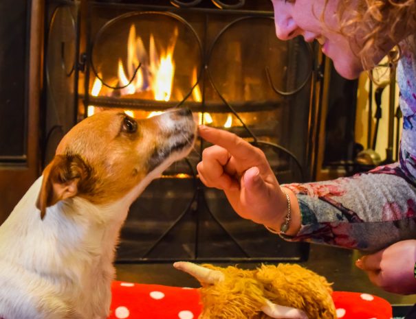 Gables Cottage at Polbain on the Coigach Peninsula offers pet friendly accommodation