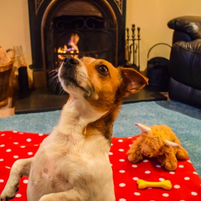 Gables Cottage at Polbain on the Coigach Peninsula offers pet friendly accommodation